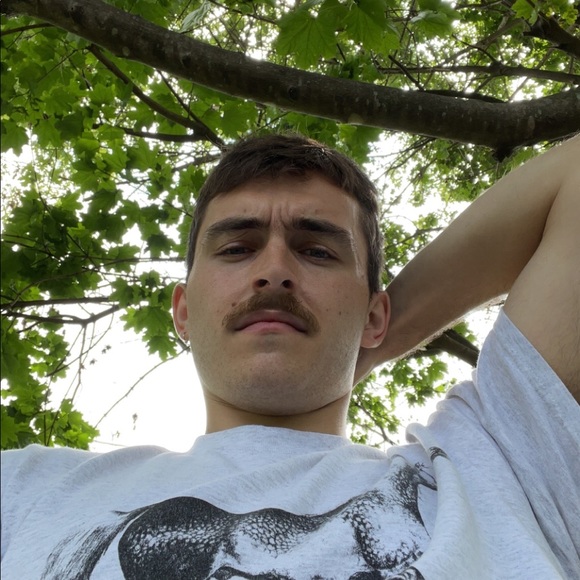 Meet your Posher, George - Picture 1 of 1